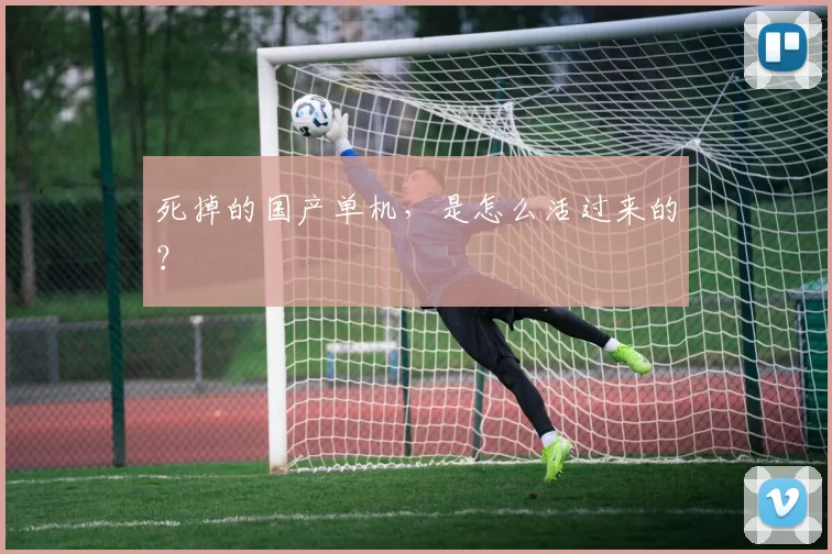 死掉的国产单机，是怎么活过来的？