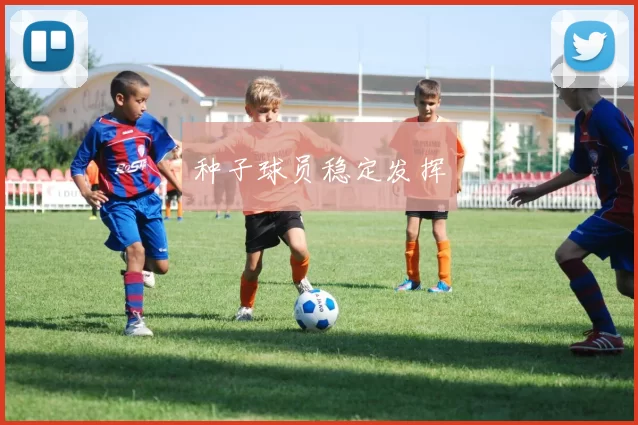 种子球员稳定发挥