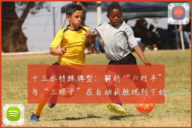 十三水特殊牌型：解析“六对半”与“三顺子”在自动获胜规则下的优先级。（十三水特殊牌型解读：自动获胜规则中“六对半”和“三顺子”的优先顺序）