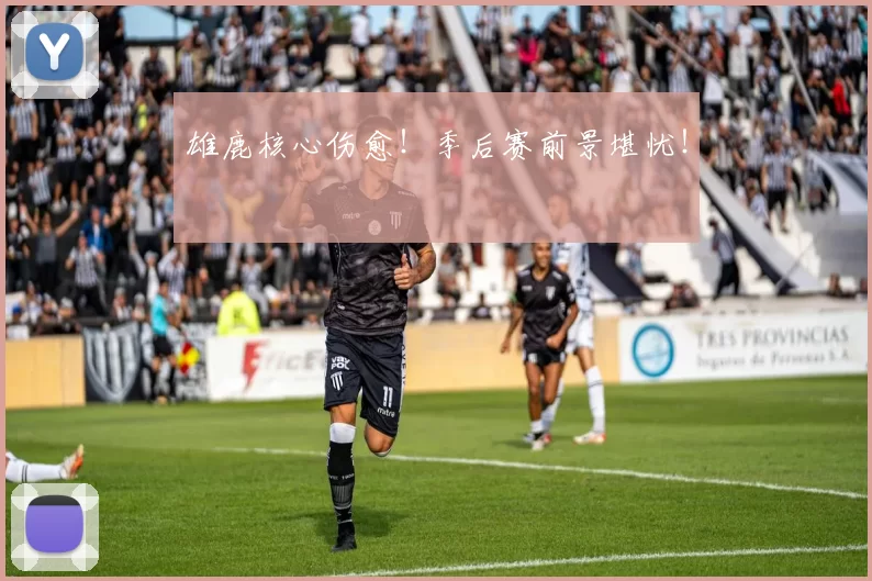 雄鹿核心伤愈！季后赛前景堪忧！