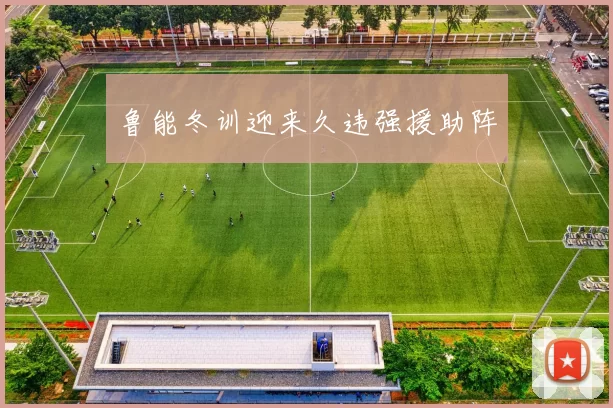 鲁能冬训迎来久违强援助阵