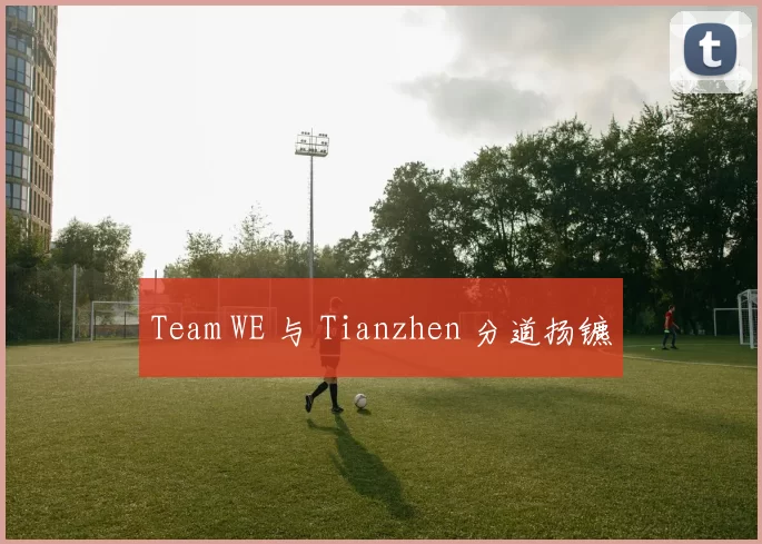 Team WE 与 Tianzhen 分道扬镳